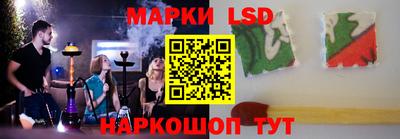 apvp Кингисепп