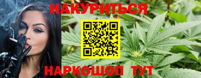 apvp Кингисепп