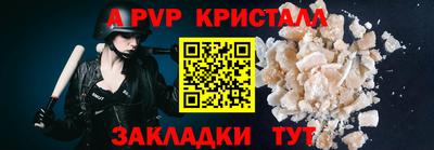 apvp Кингисепп