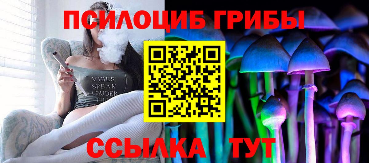 Заречный  Псилоцибиновые грибы GOLDEN TEACHER  Вход с VPN 