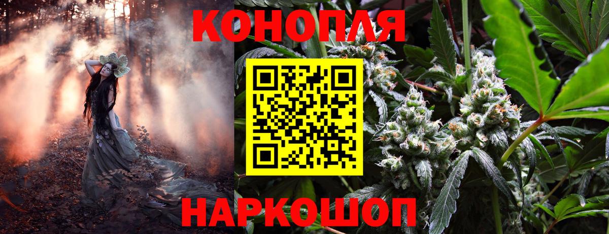 Каннабис SATIVA & INDICA Заречный
